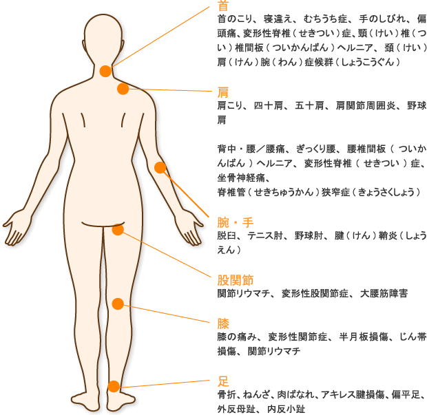 首 首のこり、寝違え、むちうち症、手のしびれ、偏頭痛、変形性脊椎(せきつい)症、頸(けい)椎(つい)椎間板(ついかんばん)ヘルニア、頚(けい)肩(けん)腕(わん)症候群(しょうこうぐん) 肩 肩こり、四十肩、五十肩、肩関節周囲炎、野球肩 背中・腰／腰痛、ぎっくり腰、腰椎間板(ついかんばん)ヘルニア、変形性脊椎(せきつい)症、坐骨神経痛、脊椎管(せきちゅうかん)狭窄症(きょうさくしょう) 腕・手 脱臼、テニス肘、野球肘、腱(けん)鞘炎(しょうえん) 股関節 関節リウマチ、変形性股関節症、大腰筋障害 膝 膝の痛み、変形性関節症、半月板損傷、じん帯損傷、関節リウマチ 足 骨折、ねんざ、肉ばなれ、アキレス腱損傷、偏平足、外反母趾、内反小趾